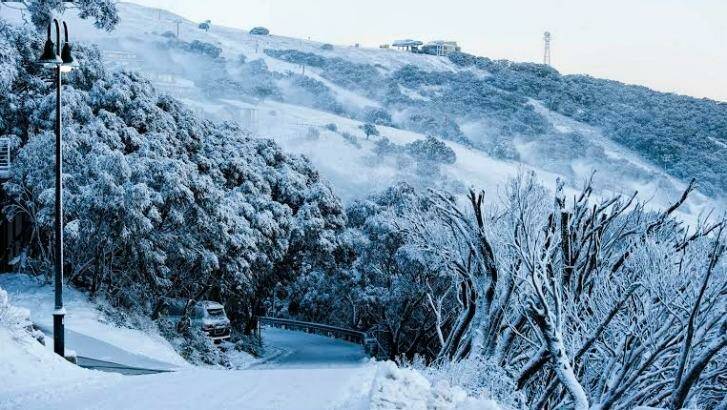 A teenager has been flown to the Royal Children's Hospital after falling off a ski jump at Mount Buller on Saturday. Photo: Andrew Railton 