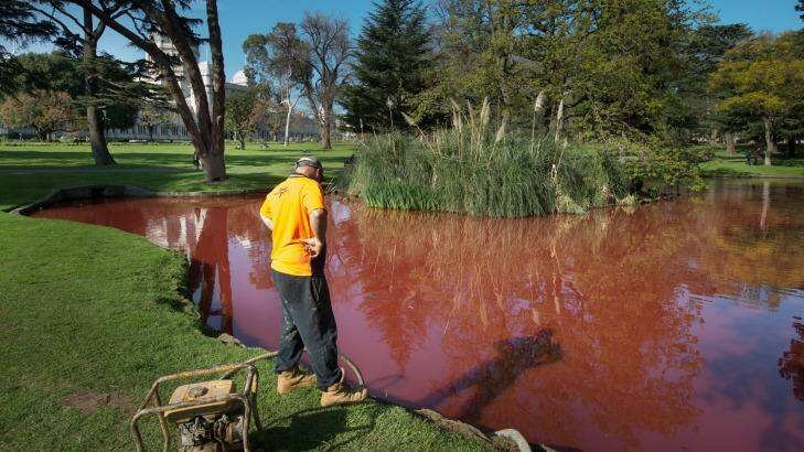 Work to fix the red lake should be finished by Saturday, Melbourne City Council says.  Photo: Simon Schluter.