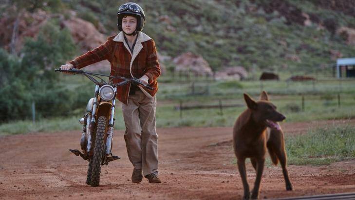 Levi Miller (Mick) and the young kelpie in <i>Red Dog: True Blue</i>. Photo: ROADSHOW FILMS