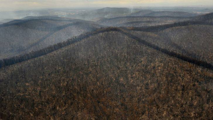 Burnt out ranges just east of Kinglake after fires ripped through during Victoria's hottest day on record. Photo: Craig Abraham