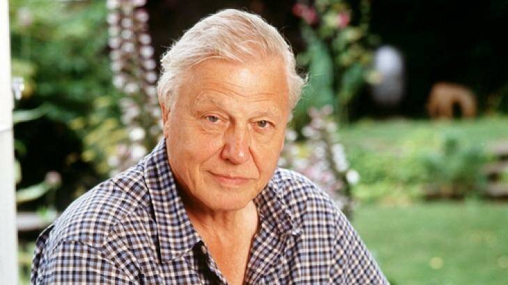 ... broadcaster and naturalist David Attenborough, is receiving tributes. Photo: BBC