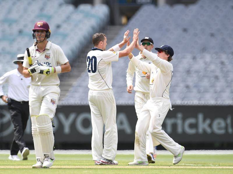 Peter Siddle has been Victoria's top wicket taker in the Shield match with Queensland at the MCG.