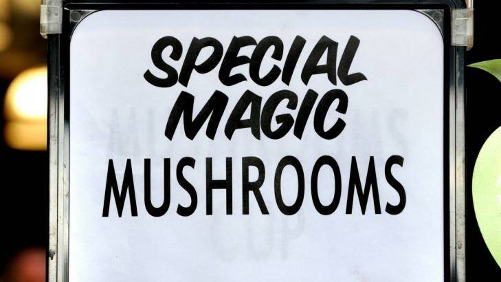 Could magic mushrooms help treat mental illness? Photo: Marina Neil MNZ