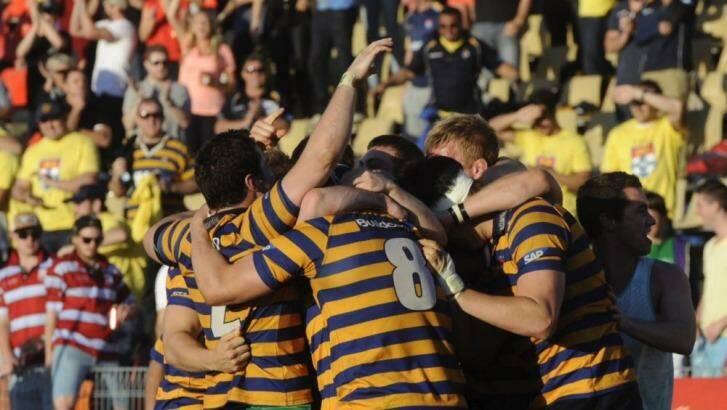 Glory days: Sydney University will be hoping for more glory in the NRC. Photo: Mick Tsikas