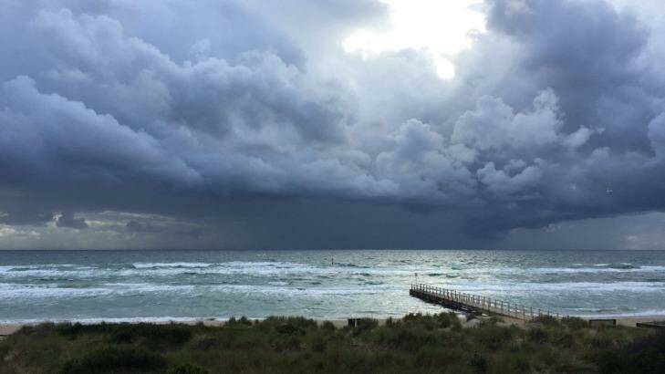 Looking out over Port Phillip Bay, Chelsea on Sunday. Photo: Jennifer Weinstein