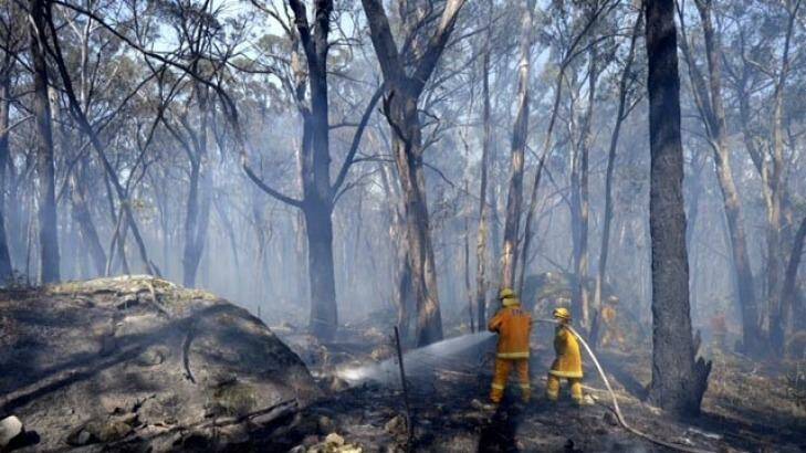Firefighters protecting a property off Feeney's Lane in Benloch, where fires are still not under control. Photo: Penny Stephens 