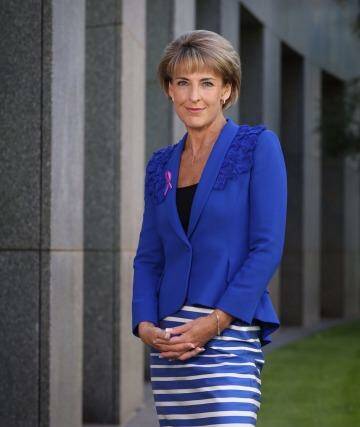 Michaelia Cash, Minister Assisting the Prime Minister for Women, at the Parliament House. Photo: Andrew Meares