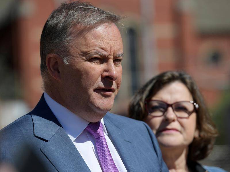 Labor's Anthony Albanese isn't fazed by "minor party candidates" in the Batman by-election.