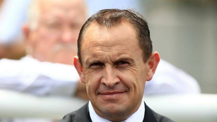 Awesome foursome: Chris Waller has won his fourth Bart Cummings Medal. Photo: Jenny Evans