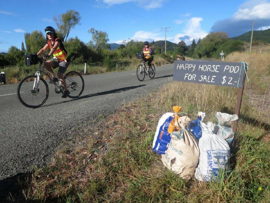 Horsing around: Happy horse poo for sale at the side of the road en route to Motueka. Photo: Rob McFarland