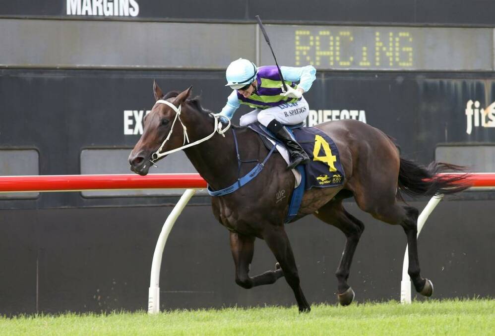 One to watch: Resurrect wins for Blake Spriggs may be a late scratching at Rosehill. Photo: Dean Osland