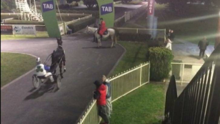 Sequenzia (grey hooded jumper) at Cranbourne race track.