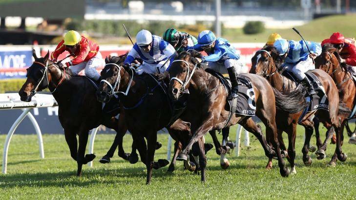 Right man for the job: Joao Moreira rides He's Your Man (nearest camera) to win the Epsom Handicap at Randwick on Saturday. Photo: Anthony Johnson/Getty Images