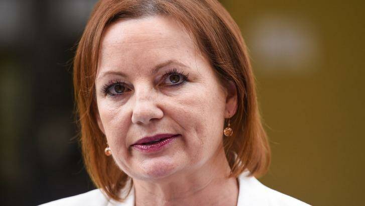Sussan Ley addresses the expenses controversy media at her electorate office in Albury on Monday. Photo: Mark Jesser
