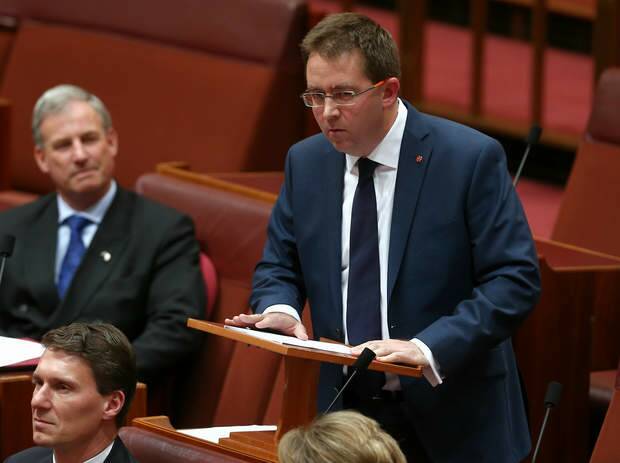 Senator James McGrath delivers his first speech in the Senate at Parliament House in Canberra on Wednesday 16 July 2014. Photo: Alex Ellinghausen