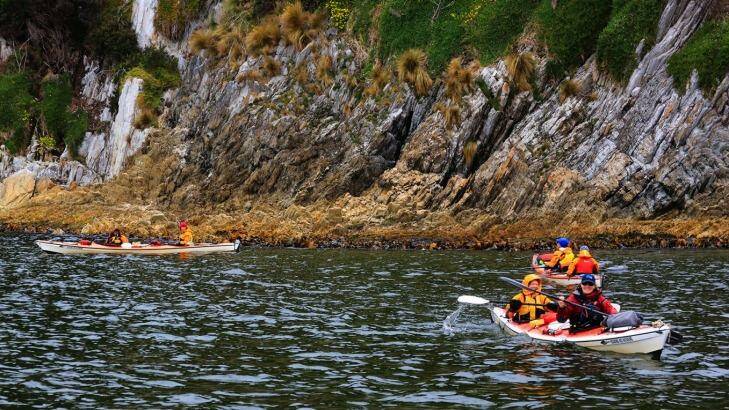 Guests explore Port Davey and Bathurst Harbour in kayaks. Photo: Supplied
