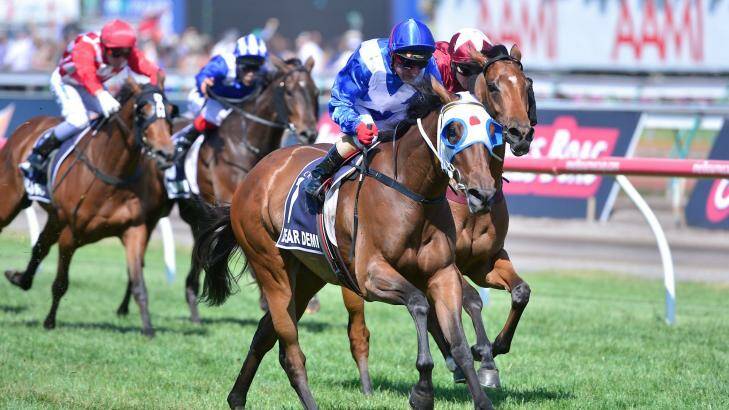 High hopes: Dear Demi will target the Caulfield Cup in the spring. Photo: Pat Scala