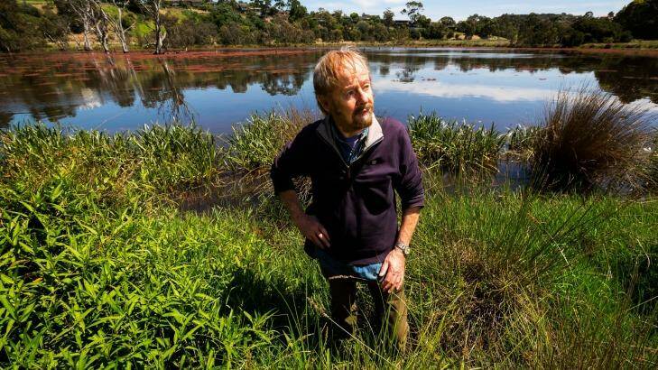 Friends of Banyule president Dennis O'Connell at Banyule Flats Reserve this week.  Photo: Chris Hopkins
