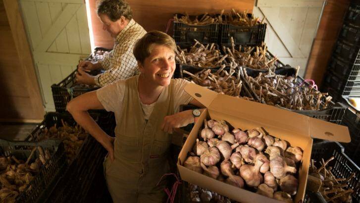 Light bulb moment: Fledgling garlic farmer Kirsten Jones (with husband David Jones) dreamed up the Meeniyan Garlic Festival, to be held on February 18. Photo: Simon Schluter