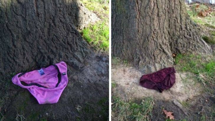 Someone has been leaving underwear at a tree out the front of someone's house. Photo: Supplied