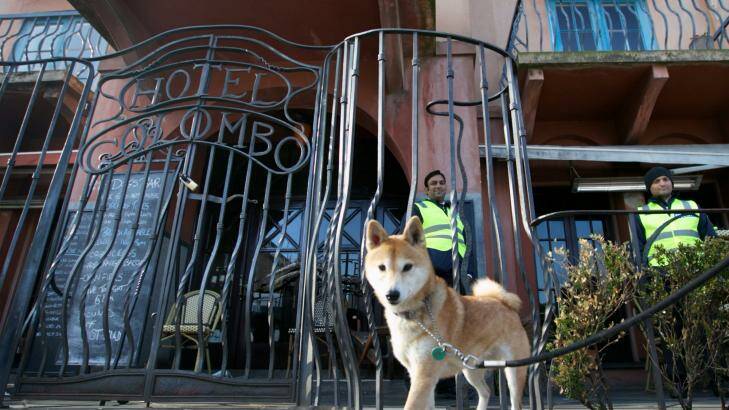 St Kilda's Dog's Bar. Photo: Jason South 
