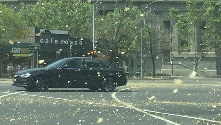 Gusty winds whip up leaves in Melbourne's CBD. Photo: Courtesy of Seven News via ?@JackieQuist7