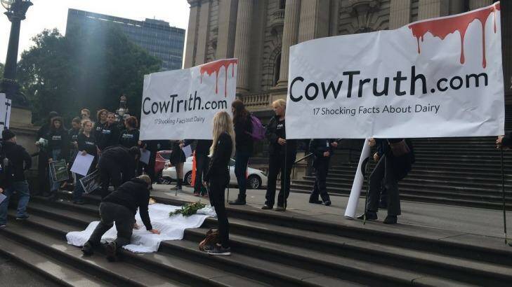 Animal liberationists awaited the arrival of the farmers on the steps of Parliament House on Wednesday. Photo: Matt Gallant/Ten News