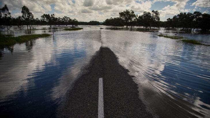 A flooded Newell Highway cuts off Forbes and West Wyalong. Photo: Wolter Peeters