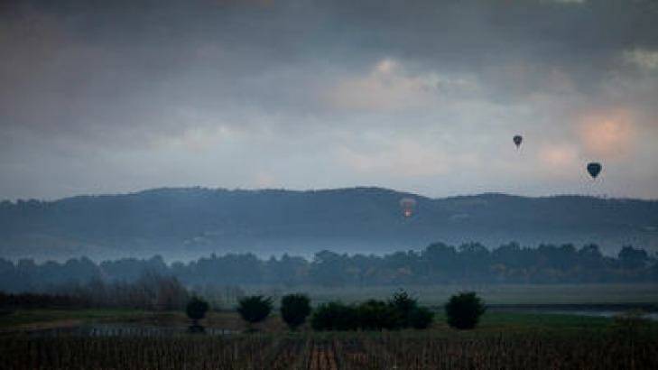 Hot air balloons rising over the Yarra Valley this morning. Photo: Arsineh Houspian