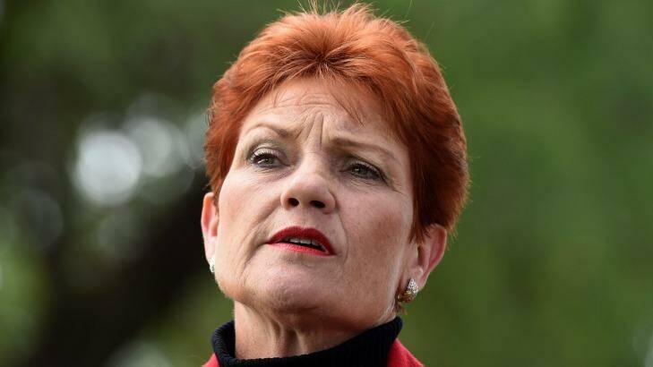 Pauline Hanson on Monday. Photo: Dan Peled