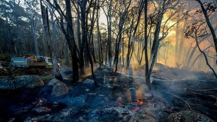 The Lancefield fire has been downgraded. Photo: Justin McManus