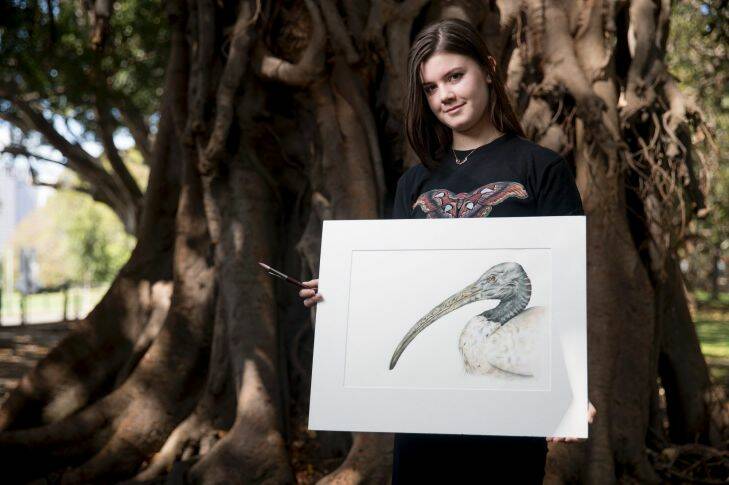 Samantha Bayly poses for a portrait holding her illustration of an Australian White Ibis (Bin Chicken), and wearing one her prints on a t-shirt. Samntha studies Natural History Illustration at the University of Newcastle and is one of two recipients of a new $10,000 scholarship inspired by the 19th century scientific illustrations of Harriet and Helena Scott.