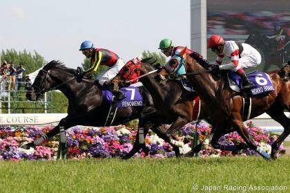 Possible talent for next year’s spring carnival: Fenomeno racing in Japan. Photo: Japan Racing Association