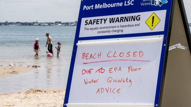 Port Melbourne beachgoers escape the heat and go for a a swim despite warning signs from EPA Victoria. Photo: Daniel Pockett