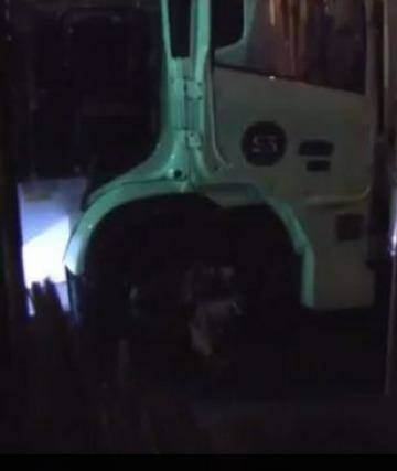 A Stonnington Council truck driver caught on camera dumping liquid in Kooyong.