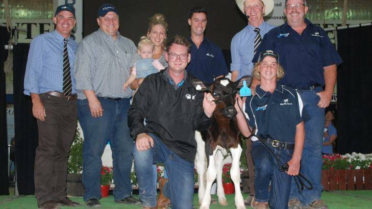 Owner Declan Patten with his prized calf Gigi after the record sale. Photo: Fiona Hanks