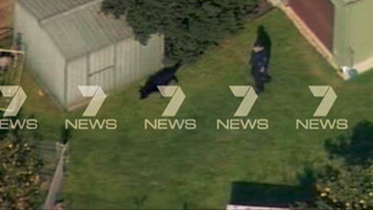 The police dog squad searches for the burglars.  Photo: Courtesy of Seven News