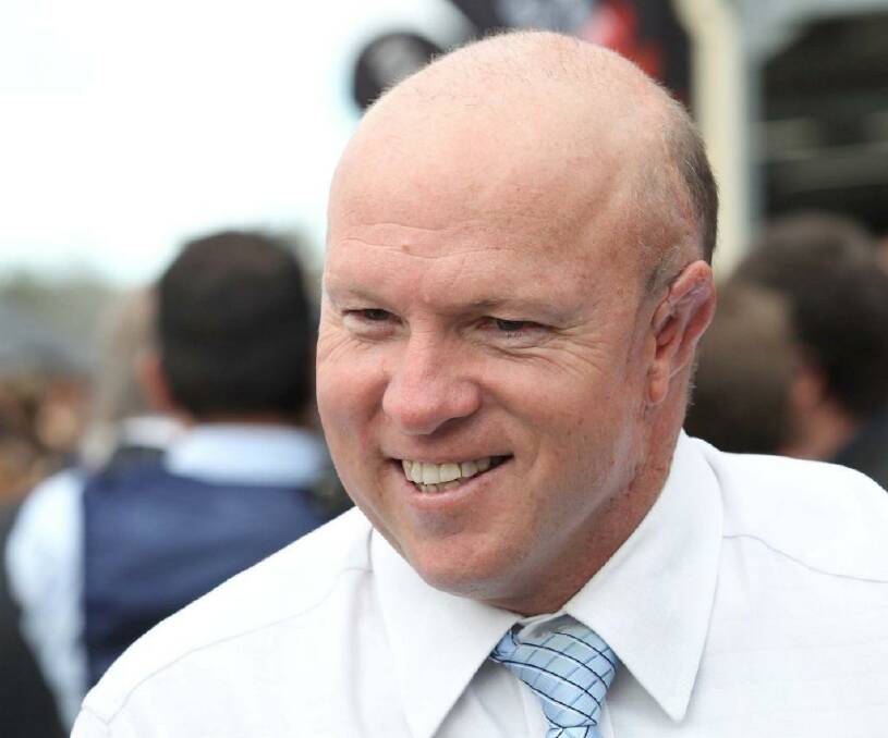 Two-year-old specialist: trainer Liam Birchley's Hot Snippety will feature at Randwick on Saturday. Photo: Tertius Pickard