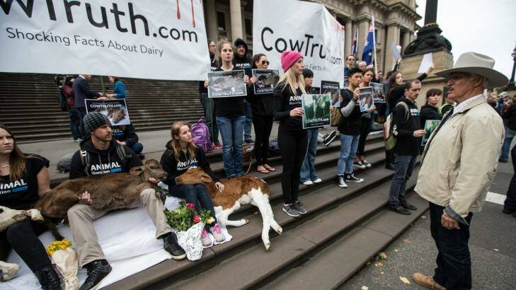 Animal liberationists awaited the arrival of the farmers on the steps of Parliament House on Wednesday. Photo: Jason South