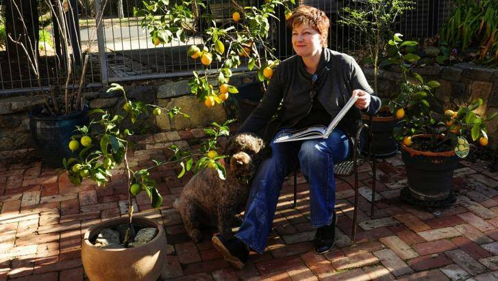 Tracey Ryan, of Ainslie, with her lemon and lime trees, and her dog Marley. Photo: Melissa Adams 
