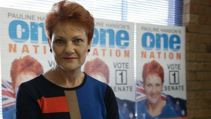 Pauline Hanson has her best chance to win an election in almost 20 years, according to political scientist Paul Williams. Photo: Tertius Pickard