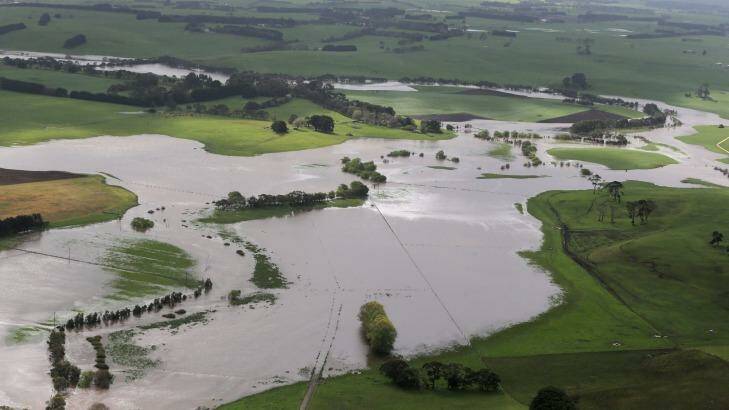 Flooded paddocks along the Drysdale Creek, north of Warrnambool, earlier this month. Photo: Rob Gunstone