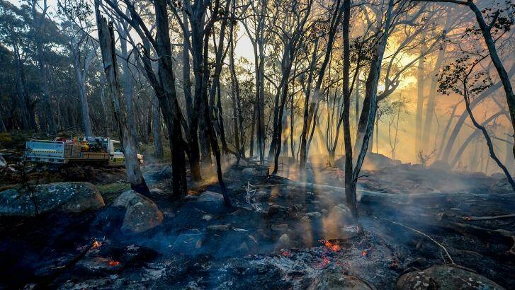 Environment department officers at a spot fire on Jacqueline Lehmann's property.   Photo: Justin McManus 