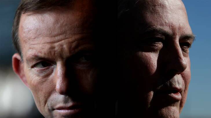 Clive Palmer and Tony Abbott Photo: Alex Ellinghausen