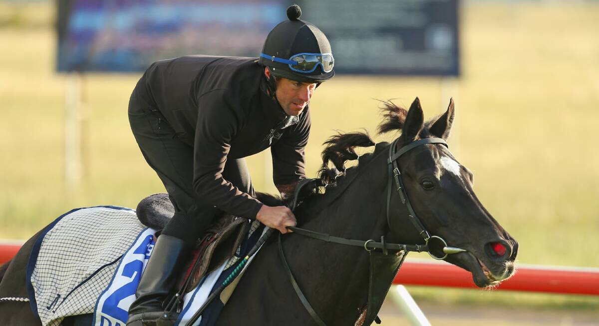  Paul Francis rides Dandino in  trackwork at Werribee. PICTURE: GETTY IMAGES