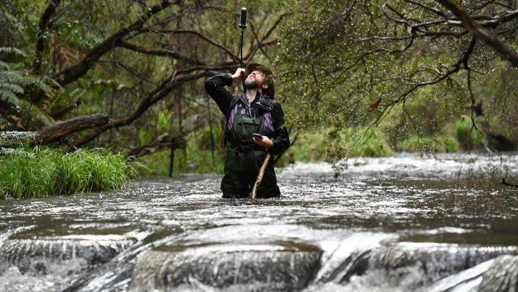 Not the muddy brown city Yarra: Christian Taylor with his camera affixed to his backpack (above his head) in the upper reaches of the Yarra near McMahons Creek, east of Warburton.  Photo: Joe Armao