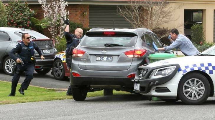 Police desperately try to smash the windows of the stolen Wodonga car after their vehicles were rammed. Photo: Blair Thomson