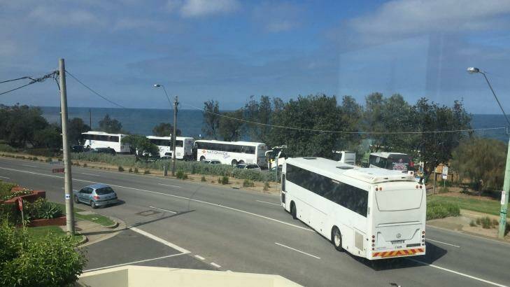 Tour buses arrive at Brighton beach daily. Opponents of the lifesaving club plan say more will come if the expansion proceeds.  Photo: Supplied