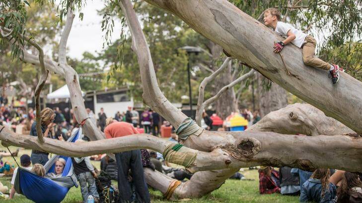 Just hanging out: the Meredith Music Festival. Photo: Meredith O'Shea