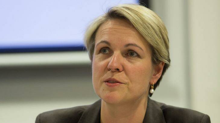 "It's potentially catastrophic for our neighbourhood if a country in our region with a weaker health system has an outbreak of Ebola": Labor MP Tanya Plibersek Photo: Andrew Taylor